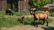 BUY Planet Zoo: Husdyr-dyrepakke Steam CD KEY