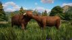 BUY Planet Zoo: Husdyr-dyrepakke Steam CD KEY